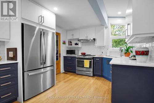 149 Wilson Avenue, London, ON - Indoor Photo Showing Kitchen With Upgraded Kitchen