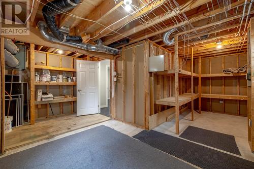 53 Murley Drive, Mount Pearl, NL - Indoor Photo Showing Basement