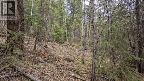 Lot 5 Canim Hendrix Lake Road, Canim Lake, BC 