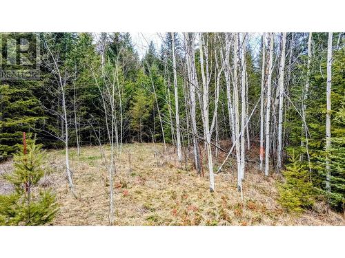 Lot 5 Canim Hendrix Lake Road, Canim Lake, BC 