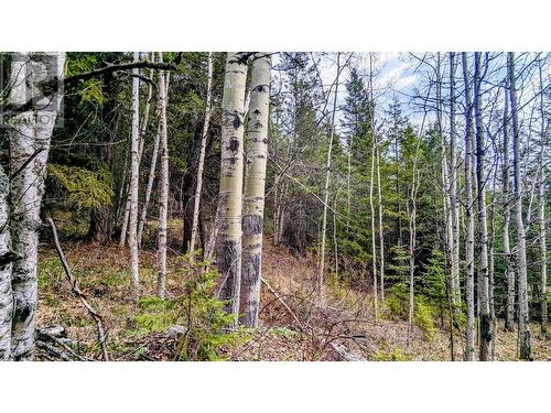 Lot 5 Canim Hendrix Lake Road, Canim Lake, BC 