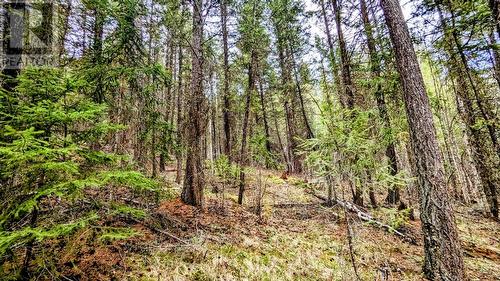 Lot 5 Canim Hendrix Lake Road, Canim Lake, BC 