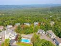 Overall view - 242  - 246 Ch. Boulanger, Sutton, QC  - Outdoor With View 