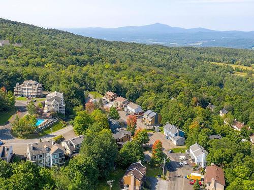 Overall view - 242  - 246 Ch. Boulanger, Sutton, QC - Outdoor With View