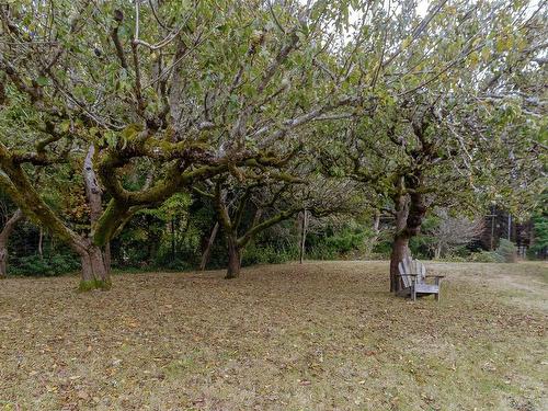 Lot 2 Sooke Rd, Sooke, BC - Outdoor