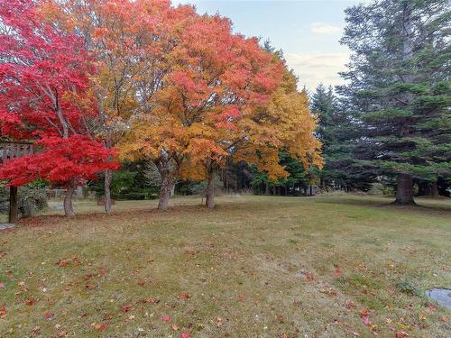 Lot 2 Sooke Rd, Sooke, BC - Outdoor