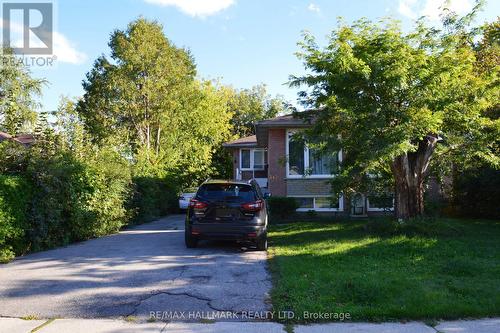 Lower - 342 Wenlock Street, Richmond Hill, ON - Outdoor