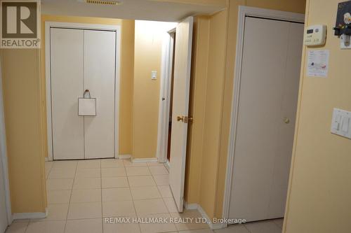 Lower - 342 Wenlock Street, Richmond Hill, ON - Indoor