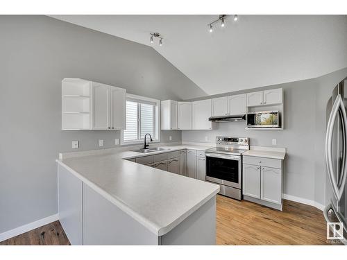 3923 28Street Nw, Edmonton, AB - Indoor Photo Showing Kitchen With Double Sink