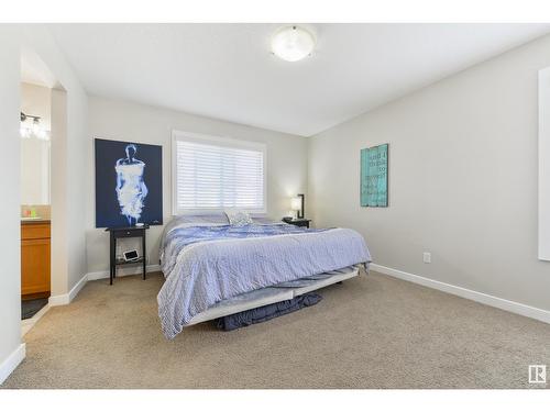 21906 94A Av Nw, Edmonton, AB - Indoor Photo Showing Bedroom