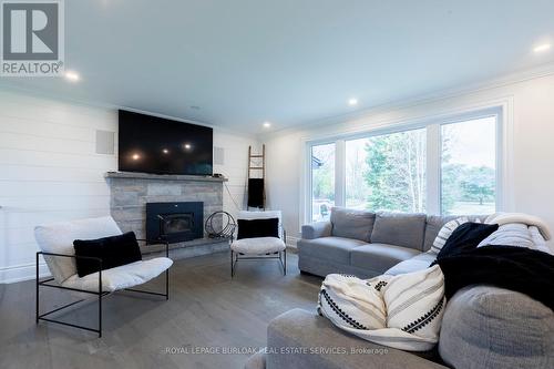 1506 6Th Con Road W, Hamilton, ON - Indoor Photo Showing Living Room With Fireplace