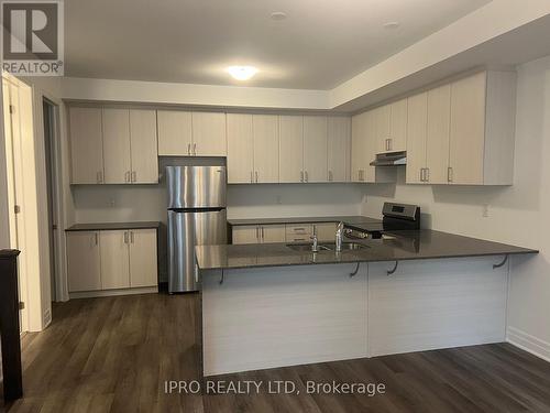 45 - 1317 Leriche Way, Milton, ON - Indoor Photo Showing Kitchen