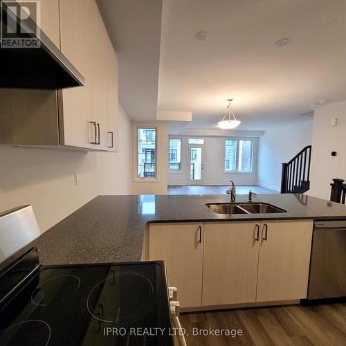 45 - 1317 Leriche Way, Milton, ON - Indoor Photo Showing Kitchen With Double Sink