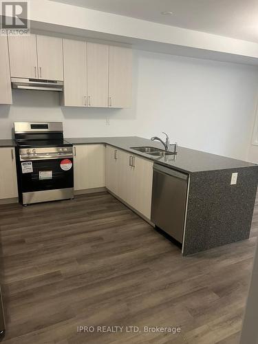 45 - 1317 Leriche Way, Milton, ON - Indoor Photo Showing Kitchen With Stainless Steel Kitchen With Double Sink