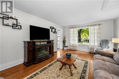 271 Carlisle Road, Hamilton, ON - Indoor Photo Showing Living Room With Fireplace