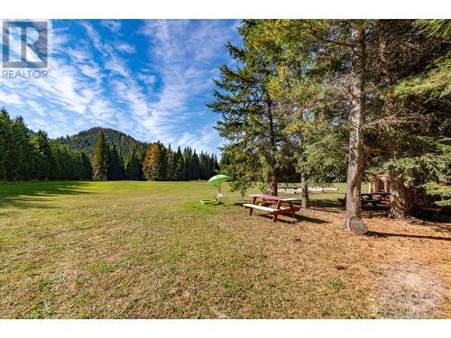 9848 6 Highway, Salmo, BC - Outdoor With View