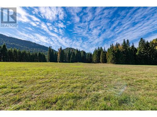 9848 6 Highway, Salmo, BC - Outdoor With View