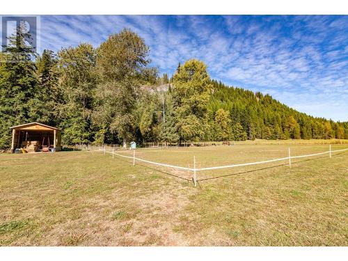 9848 6 Highway, Salmo, BC - Outdoor With View