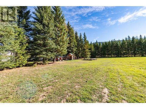 9848 6 Highway, Salmo, BC - Outdoor