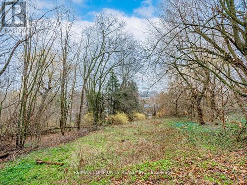 95 Hill Crescent, Toronto, ON - Outdoor With View