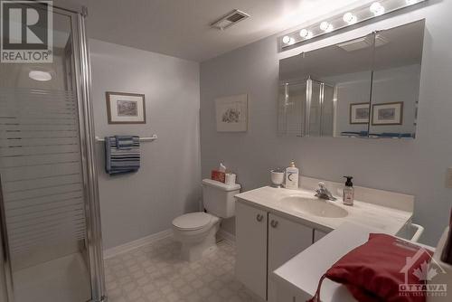 466 Crestview Road, Ottawa, ON - Indoor Photo Showing Bathroom