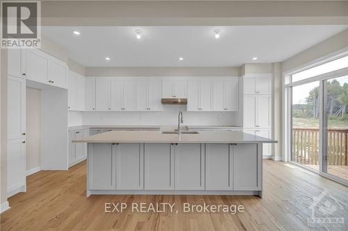 201 Elsie Macgill Walk, Ottawa, ON - Indoor Photo Showing Kitchen