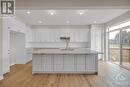 201 Elsie Macgill Walk, Ottawa, ON  - Indoor Photo Showing Kitchen 