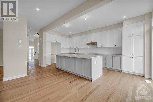 201 Elsie Macgill Walk, Ottawa, ON - Indoor Photo Showing Kitchen With Upgraded Kitchen