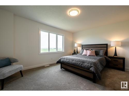 980 Daniels Lo Sw, Edmonton, AB - Indoor Photo Showing Bedroom