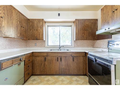 9843 64 Av Nw, Edmonton, AB - Indoor Photo Showing Kitchen With Double Sink