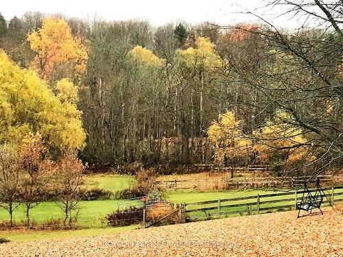 14902 Mount Pleasant Rd, Caledon, ON - Outdoor With View