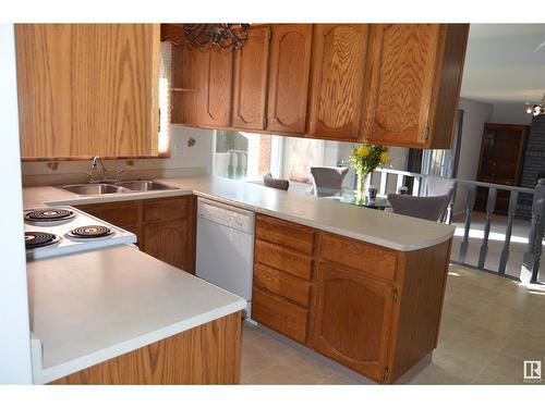 18613 62B Av Nw, Edmonton, AB - Indoor Photo Showing Kitchen With Double Sink