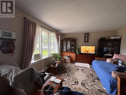 535 County 121 Road, Kawartha Lakes, ON - Indoor Photo Showing Living Room