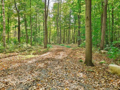 Terre/Terrain - Rue De La Seigneurie, Saint-André-D'Argenteuil, QC 