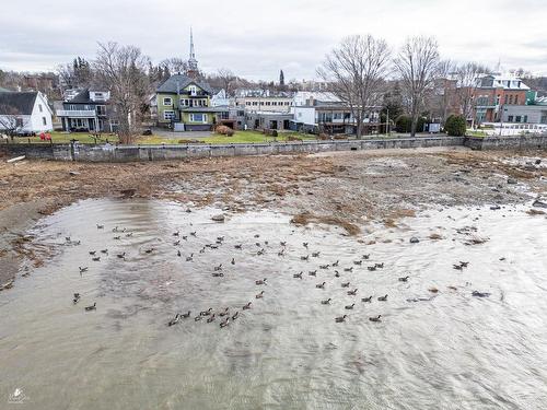 Vue d'ensemble - 2221  - 2223 Ch. Du Fleuve, Lévis (Les Chutes-De-La-Chaudière-Est), QC 