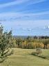 53 Heathwood Dr, Belair, MB 