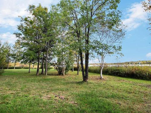 Terre/Terrain - 4470 Ch. Lemerise, Amos, QC - Outdoor With View