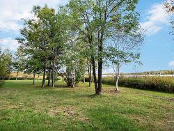 Land/Lot - 