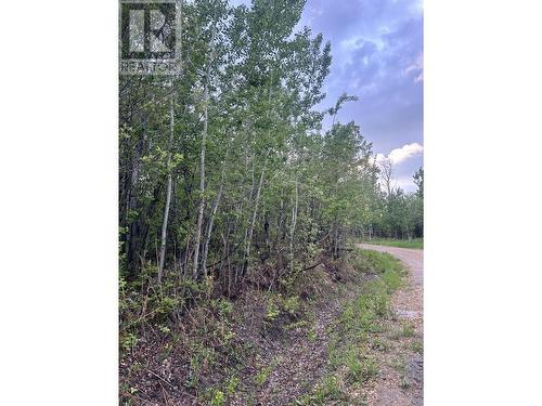 13335 Trail Way, Dawson Creek, BC - Outdoor With View