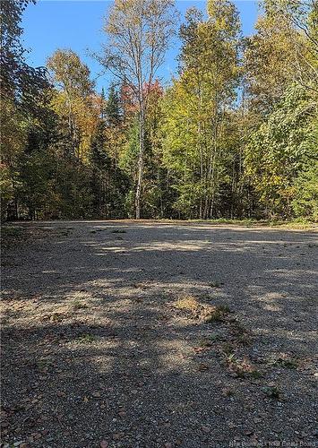 Lot 2 Highway Pokiok, Hawkshaw, NB 