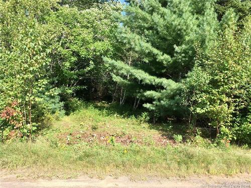 Lot D Gerazime Gallant, Saint-Ignace, NB 