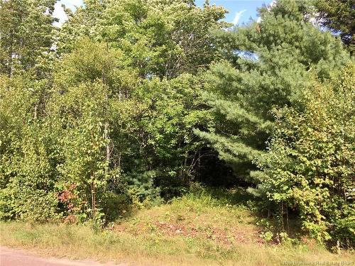 Lot D Gerazime Gallant, Saint-Ignace, NB 