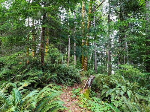 Lot 2 Eagles Dr, Courtenay, BC 