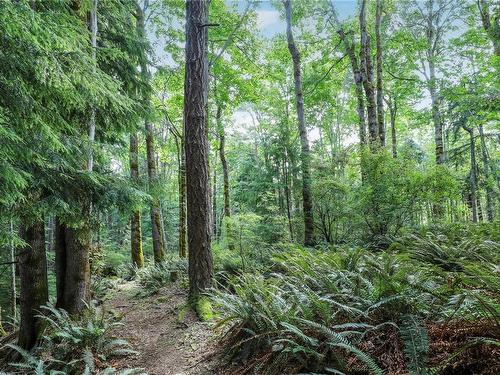 Lot 2 Eagles Dr, Courtenay, BC 