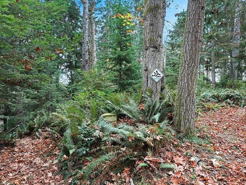 Lot 2 Eagles Dr, Courtenay, BC 