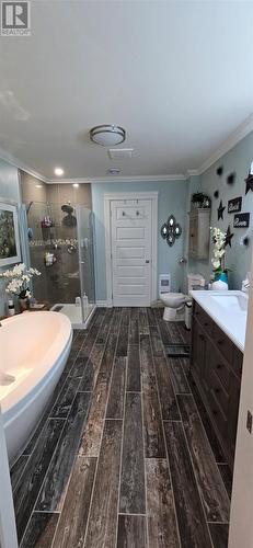 68 Dober'S Road, Little Bay, NL - Indoor Photo Showing Bathroom