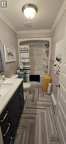 68 Dober'S Road, Little Bay, NL - Indoor Photo Showing Bathroom