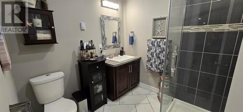 68 Dober'S Road, Little Bay, NL - Indoor Photo Showing Bathroom