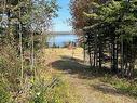 8080 Marble Mountain Road, Malagawatch, NS 