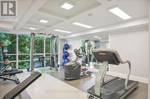 306 - 50 Hall Road, Halton Hills, ON - Indoor Photo Showing Gym Room